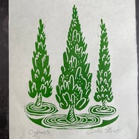 Image 3 of Cypress Tree