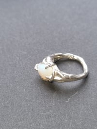 Image 5 of moon rings 