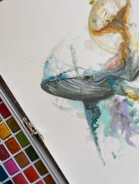 Image 2 of Baleine Brume 