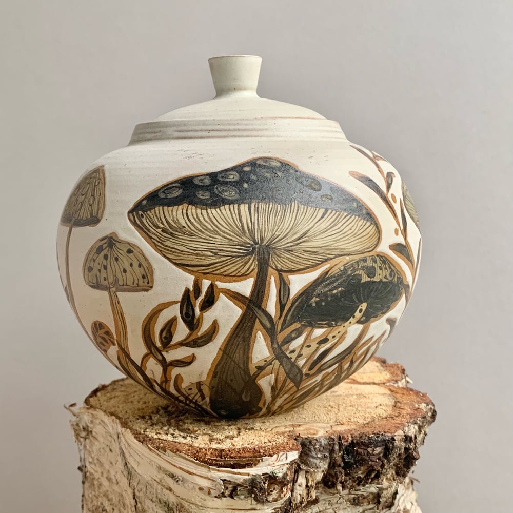 Image of Fungi Jar 