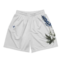 Image 1 of Grey/Blue mesh shorts