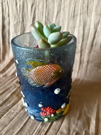 Image 5 of Ghost Plant in Plastic Coral Reef Cup