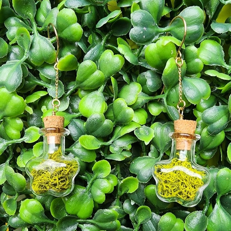 Image of mossy star jar earrings