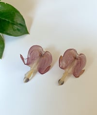 Image 2 of Hera Bleeding Hearts - Silver 