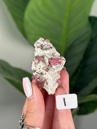 Image 9 of PINK TOURMALINE IN FELDSPAR CLUSTERS -PAKISTAN-