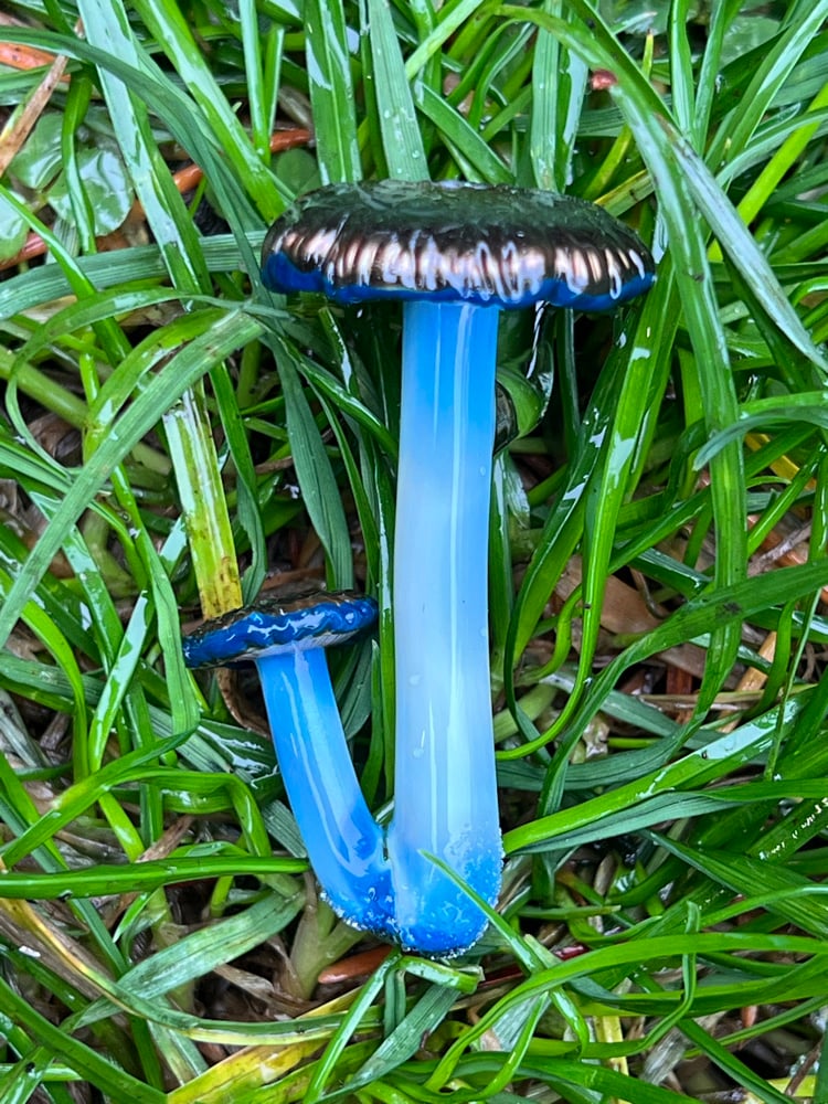 Image of Double Wavy Blue Staining Mushroom Pendant