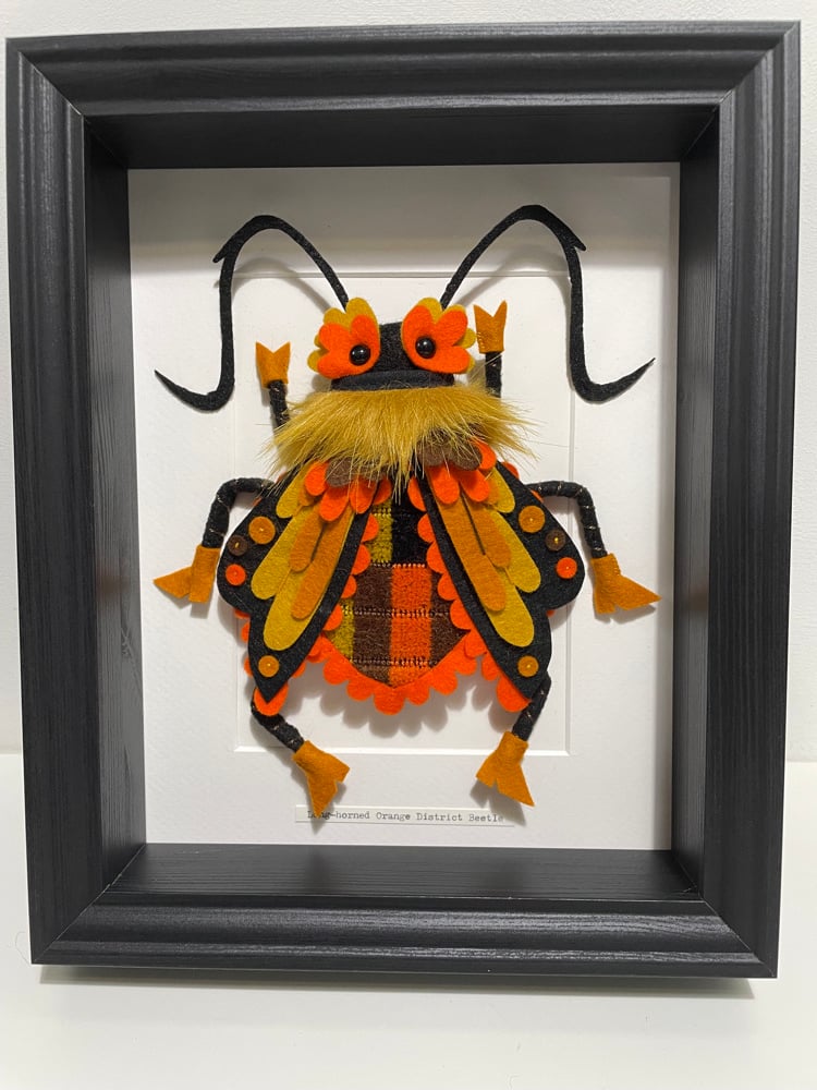 Image of Long-horned Orange District Beetle