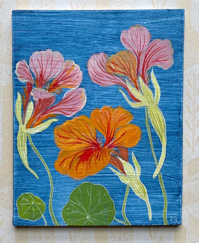 Image of Nasturtiums (C)