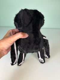 Image 5 of Weighted Medium Skeleton - Black and White