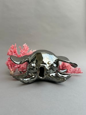 Image of Dumbo octopus chrome sculpture