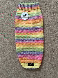 Image 1 of Snazzy Tutti Fruity in Stock