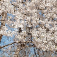 Image 3 of Jigsaw puzzle