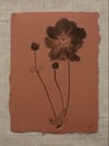 Japanese Anemone - A6 - Original Botanical Monoprint 
