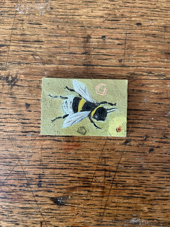 Image of Buff tailed bumblebee and primrose flower. 