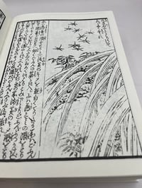 Image 3 of Hokusai's Method