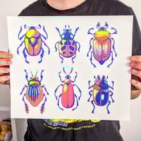 Image 2 of British Beetles - Large Screen Print