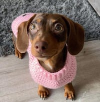 Image 2 of Single Colour Snazzy Jumper 