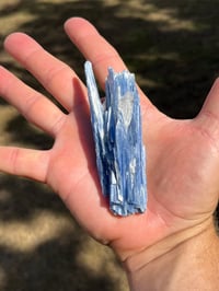 Image 9 of Blue Kyanite & Quartz Specimen #2421