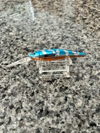 Killer Chrome Minnow 7