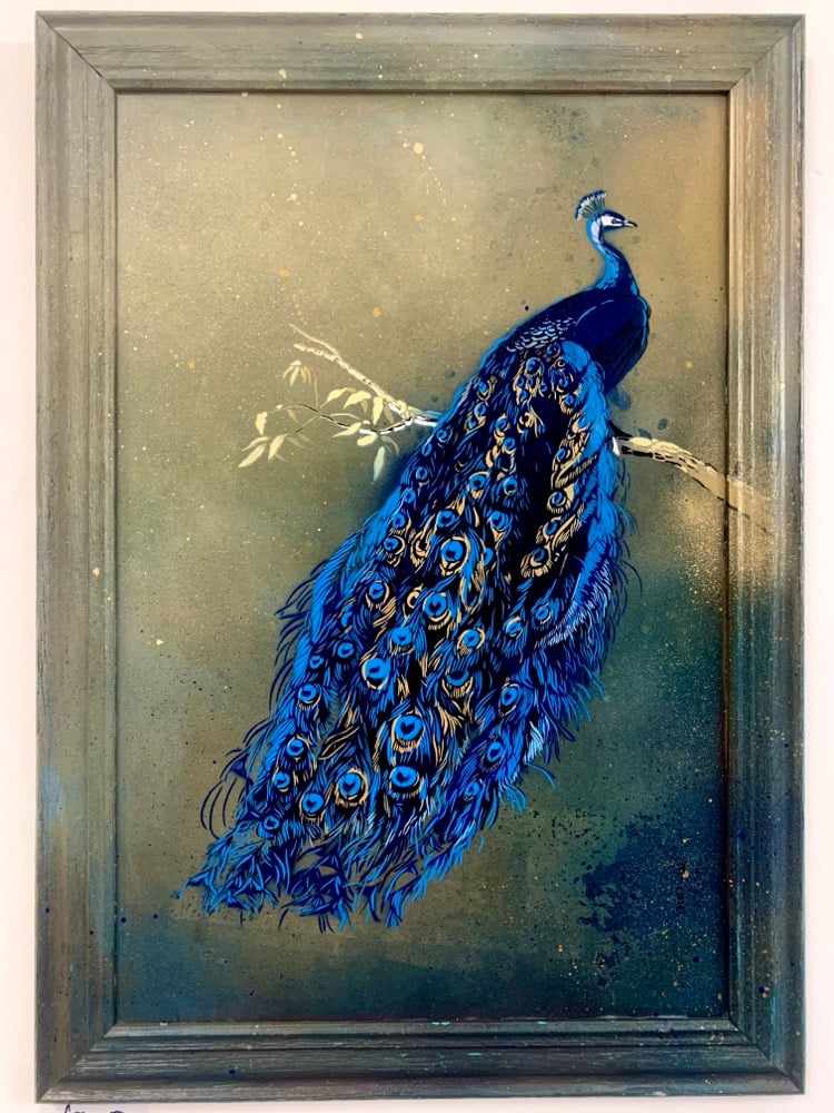 Image of Peacock
