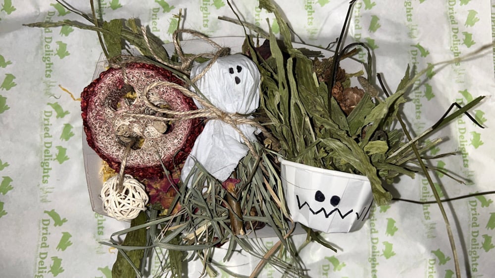 Image of Halloween Mini enrichment toy tray