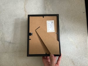 Image of Little forest bat 1 faux taxidermy