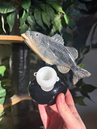 Image 3 of Striped Bass Vase