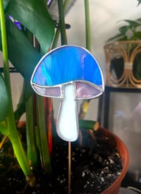 Image 3 of Custom Color Mushroom