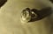 Image of Keshi Ring