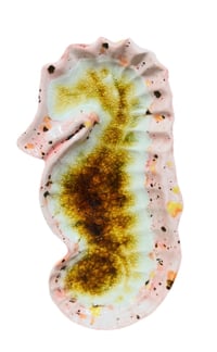 Image 2 of Fused Glass Ceramic Seahorse