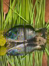 Finesse Gill - “True Gill”