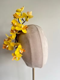 Image 1 of Yellow orchids