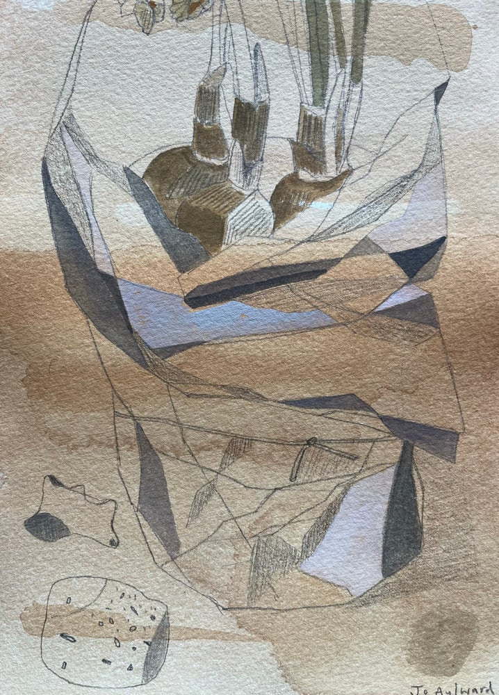 Image of Dried narcissi wrapped in tissue. 