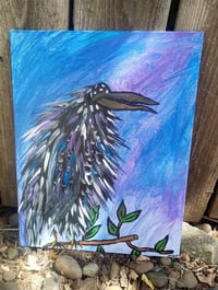 Image 7 of Crow