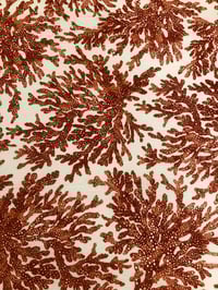 Image 3 of Hule Loneta Resinada - Corales - 6€/m