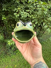 Image 2 of Frogs 