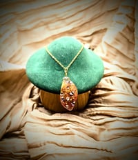 Image 2 of Enchanted Forest
