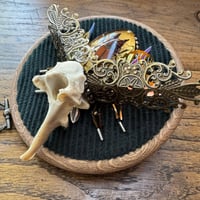 Image 3 of Specimen beetle (c, 4  inches)