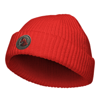 Image 8 of horse coin Fisherman beanie