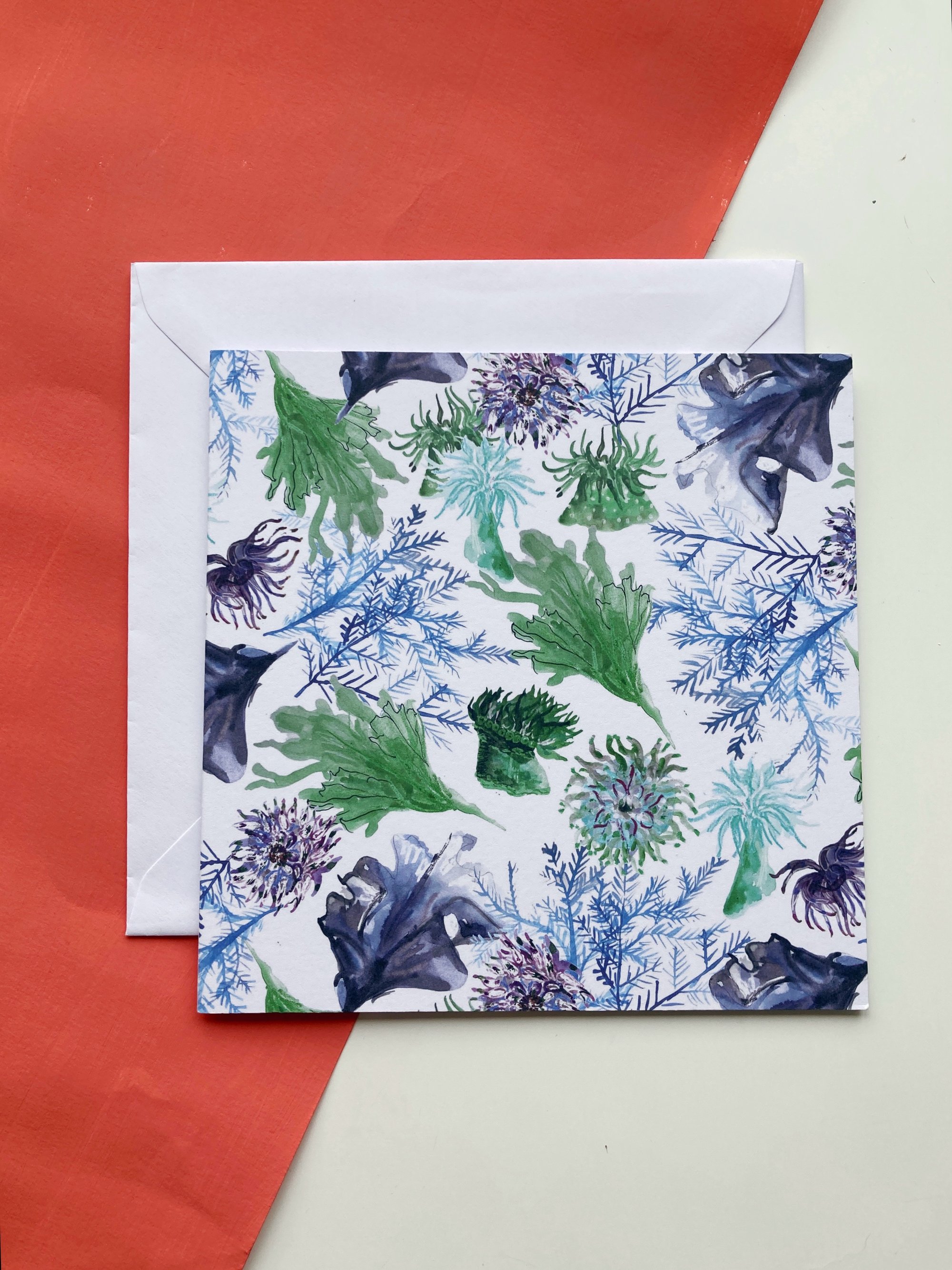 Anemone Blossoms | Greeting Card Anemone Blossoms | Greeting Card