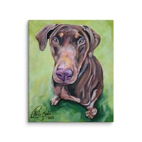 Image 3 of Brown Doberman