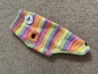 Image 2 of Snazzy Tutti Fruity in Stock
