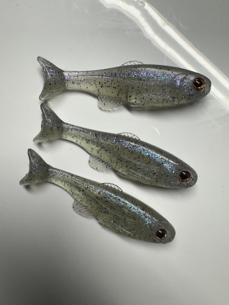 3" Mini Roma Trout - Image 4