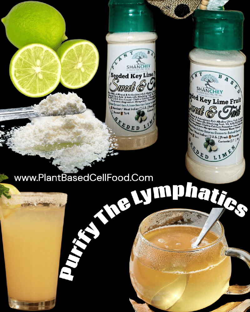 Sweet & Tart! Seeded Key Limes/Powder. Blood Sugar-Cells-Blood Thinner-pH Bal