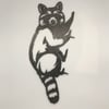 Raccoon