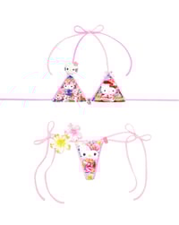 Image 1 of Kyoto pink spring