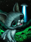 Gray Cat UFO Art Print