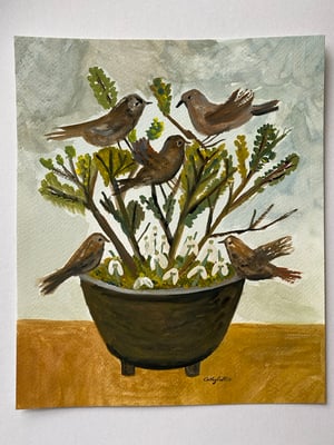 Image of garden bowl with birds and snowdrops 