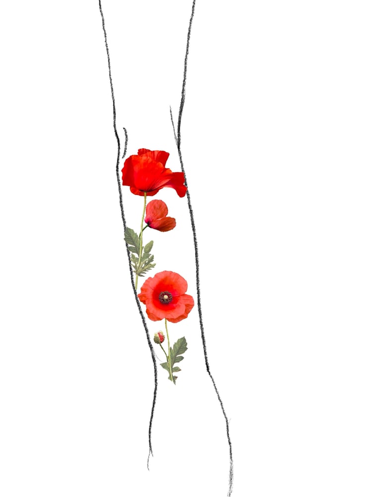 Image of Poppy Tattoo #5