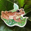 Coqui Frog Sticker